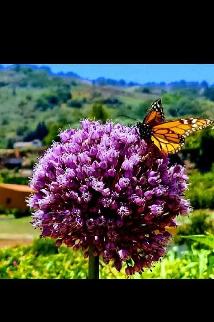 Holiday home Mar De Flores Vega de San Mateo Spain