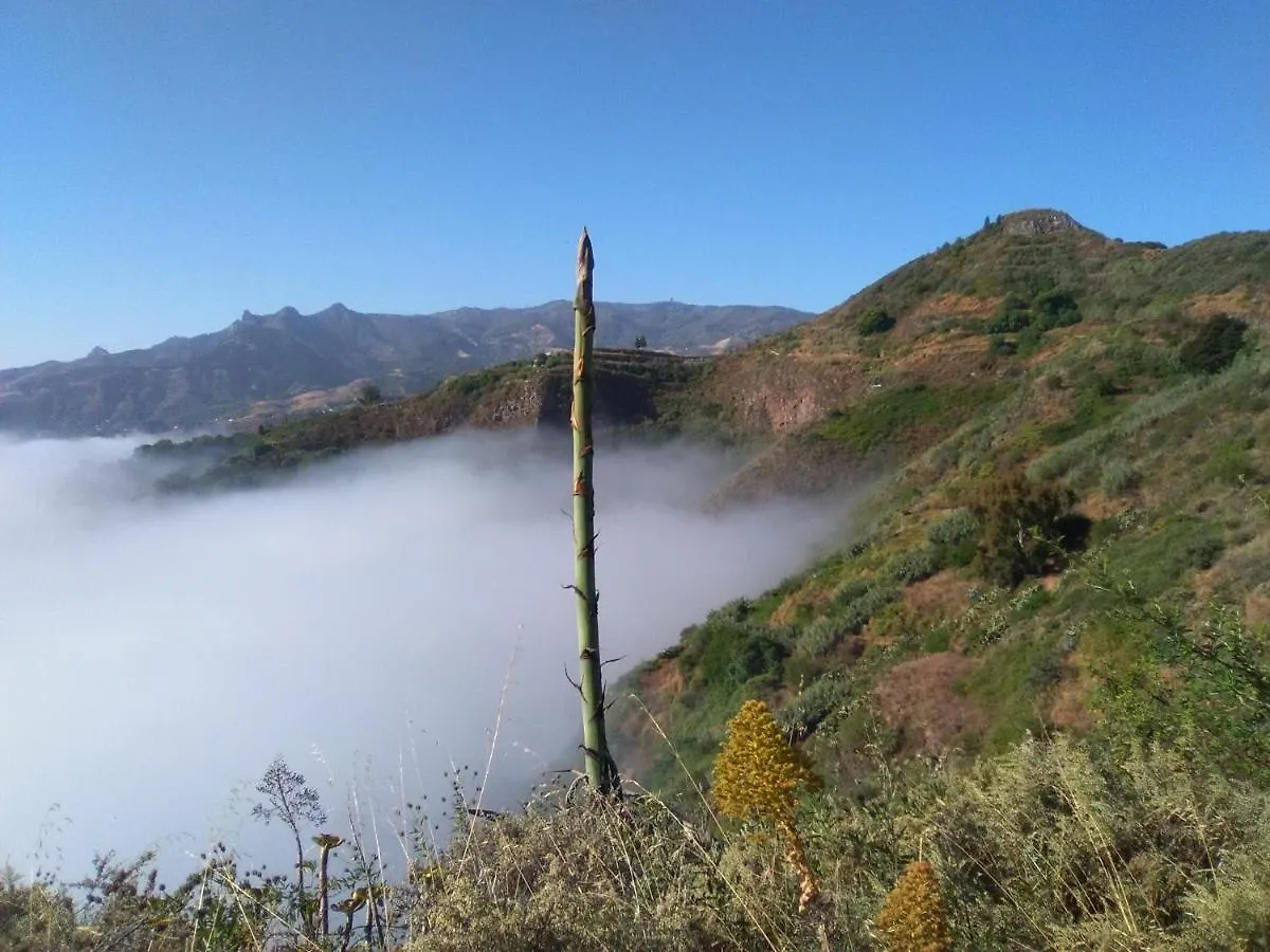 Mar De Flores 维加-德圣马特奥 西班牙